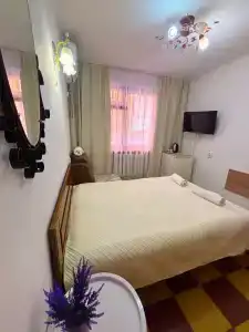 Викинг - 12