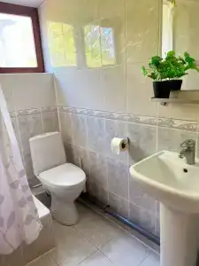 Викинг - 28