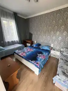 Гостевой дом у Алины - 6
