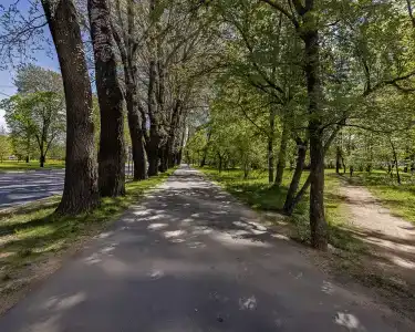 Елагин - 208