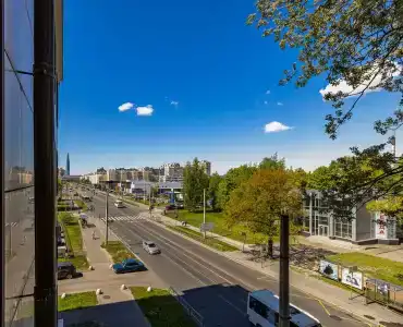 Елагин - 209