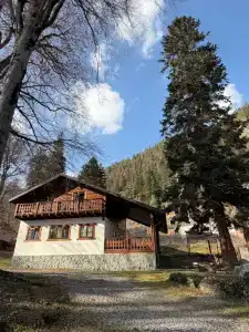 Кая - 6