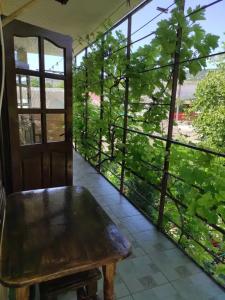 Сад_Оазис - 83