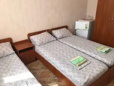 Белый Лев - 11