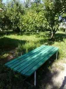 Раиса - 60