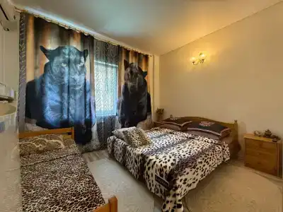 Афелия - 31