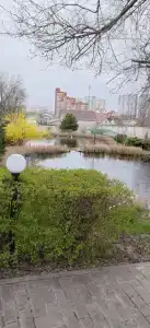 Рай у пруда - 349
