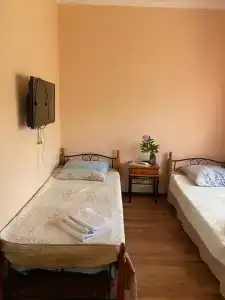 Дельфин - 20