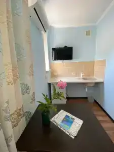 Дельфин - 26