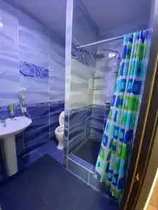 Дельфин - 27