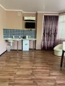 Дельфин - 43