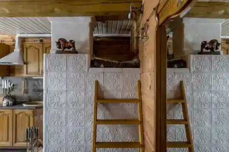 Зубровка в Беловежской пуще - 40