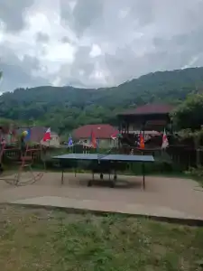 Вояж - 51