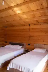 Теремок - 34