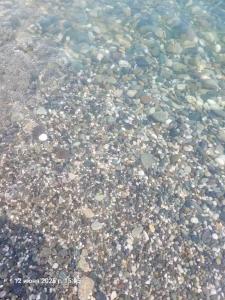 База отдыха эко домики у моря - 20