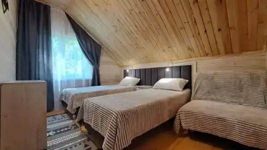 Усадьба Цвет папоротника - 160