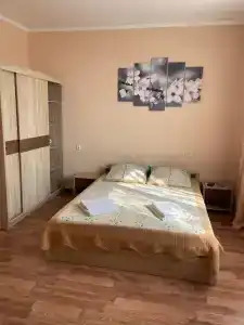 Дельфин - 62
