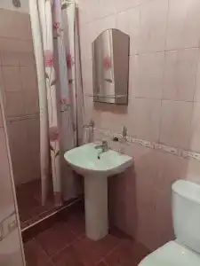 Розовый Фламинго - 6