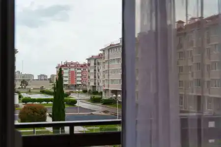 Зебра - 66