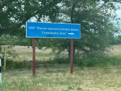 В Донской Ниве - 24