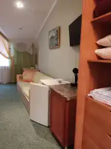 Кипарис - 18
