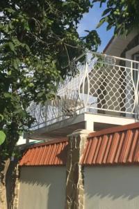 Заозёрный - 25