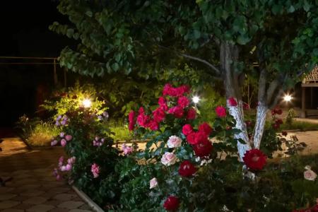 Заозёрный - 59