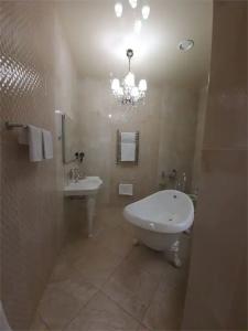 Премьер - 109