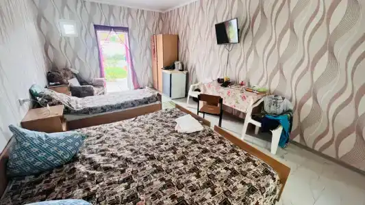 Цветущая роза - 24