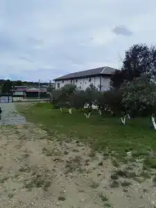 D'Villo house - 16