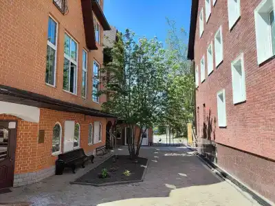 Снегирек - 4