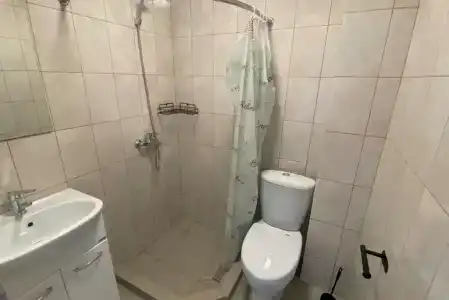 Инжир - 31
