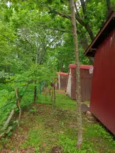 Глэмпинг у моря. Тихий ночлег - 19