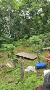 Глэмпинг у моря. Тихий ночлег - 29