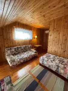 Кипарис - 139