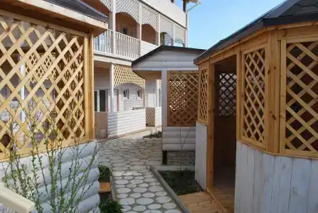 Кипарис - 144