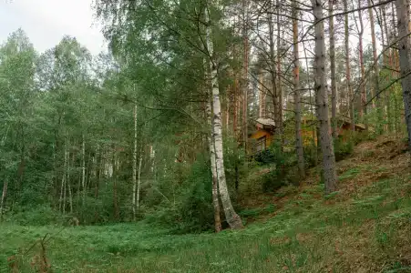 Березкина Заимка - 142