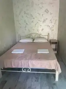 Vinograd - 5