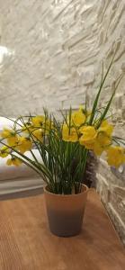 Лида Драйв Плюс - 67