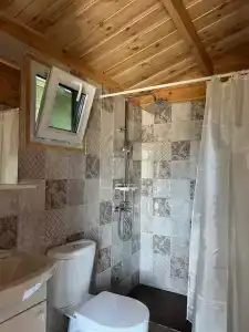 Зеленый Дом - 9