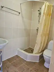 Золотой Каштан - 11