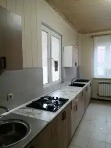 Дельфин - 29