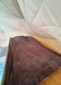 Аквариум - 124