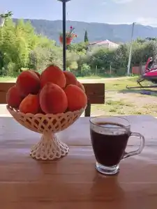 Чайка - 31