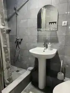 Альдаир - 241