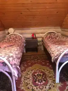 12 лап - 32