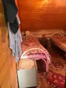12 лап - 35