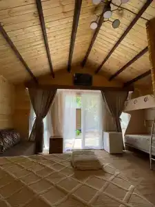 Флора - 38
