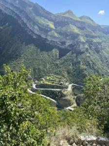 Гуниб Форест - 29