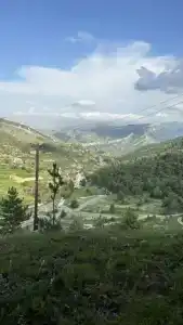 Гуниб Форест - 43